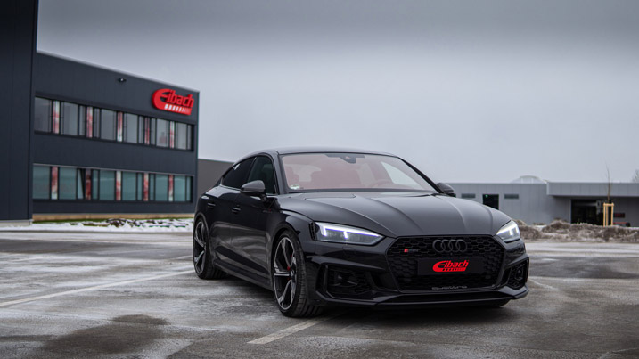 Molle Eibach per Audi RS5